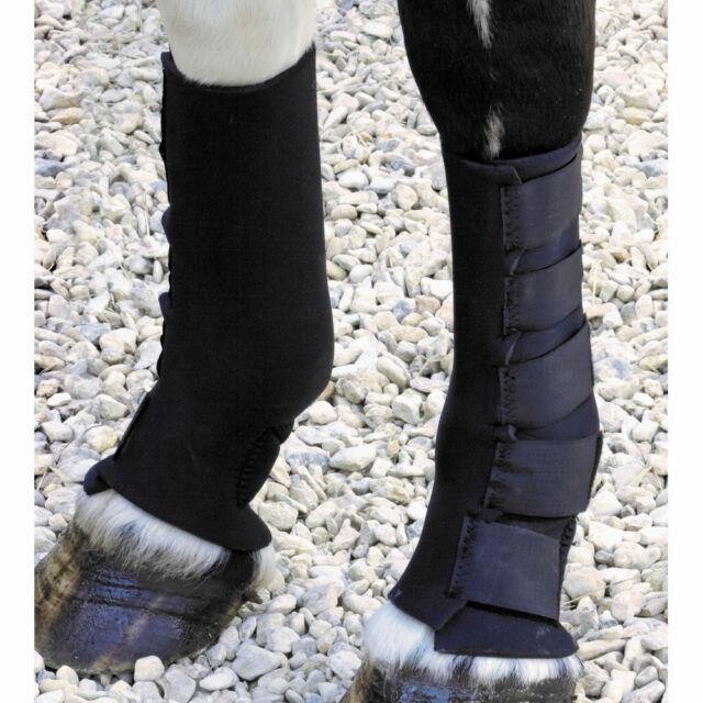 Shires Guetres de Paddock - Petite Poney - SHOP HORSE